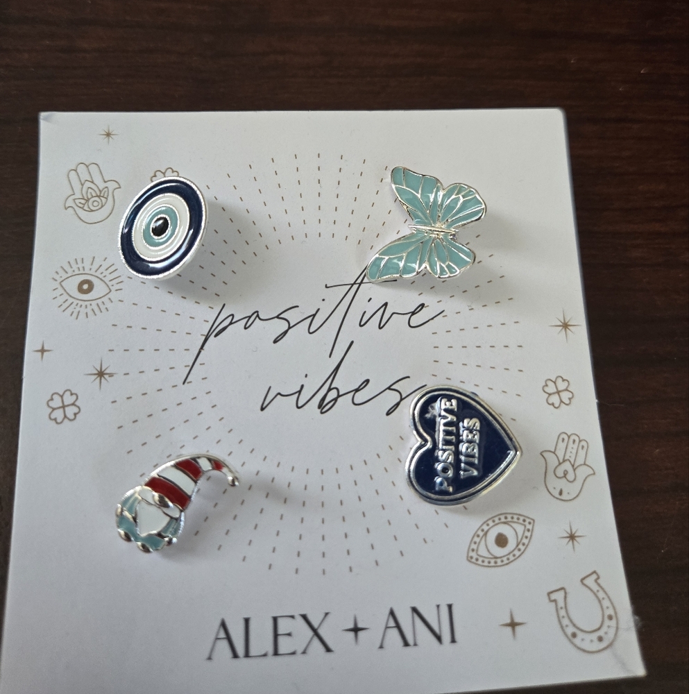 Alex and Ani Pin Set
